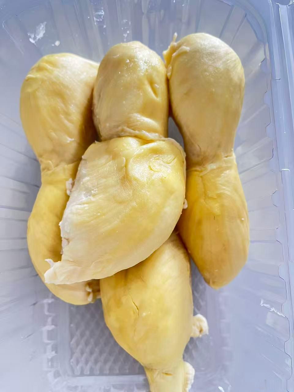 今日鉴宝环节： 