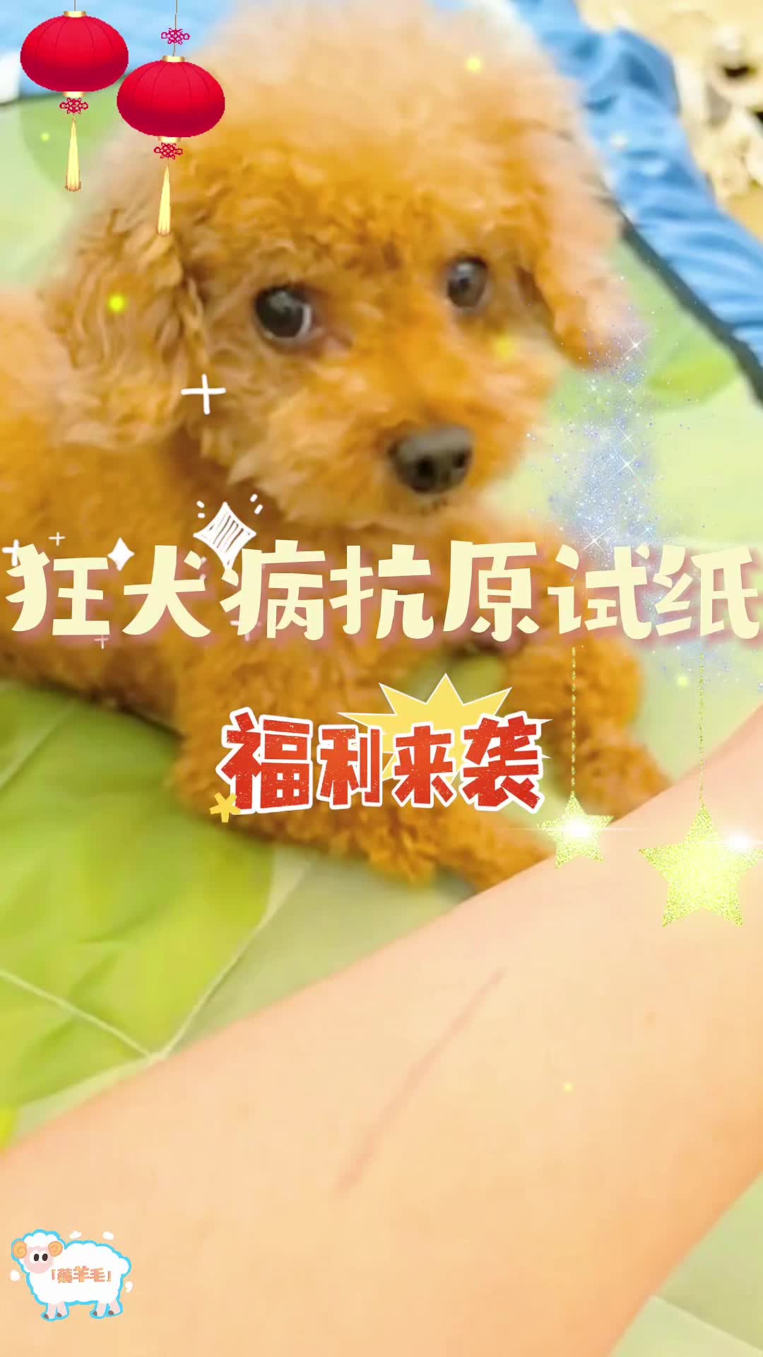 被猫狗抓伤咬伤，什么情况下需要打，什么情况下不需要呢？狂犬病