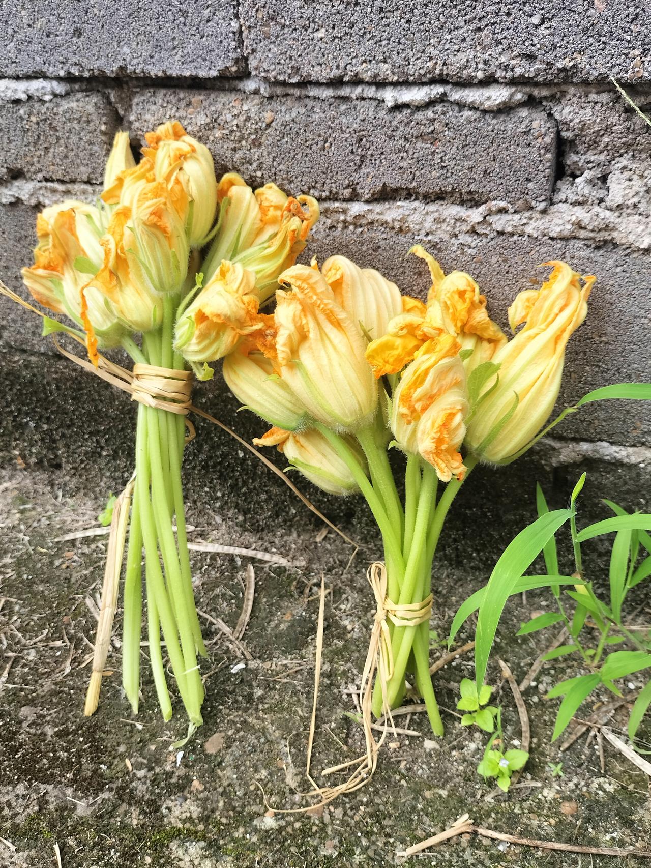 农村的南瓜花是可以炒菜吃的，我买了2元钱，1元钱有10枝，炒熟之后带点甜，南瓜花