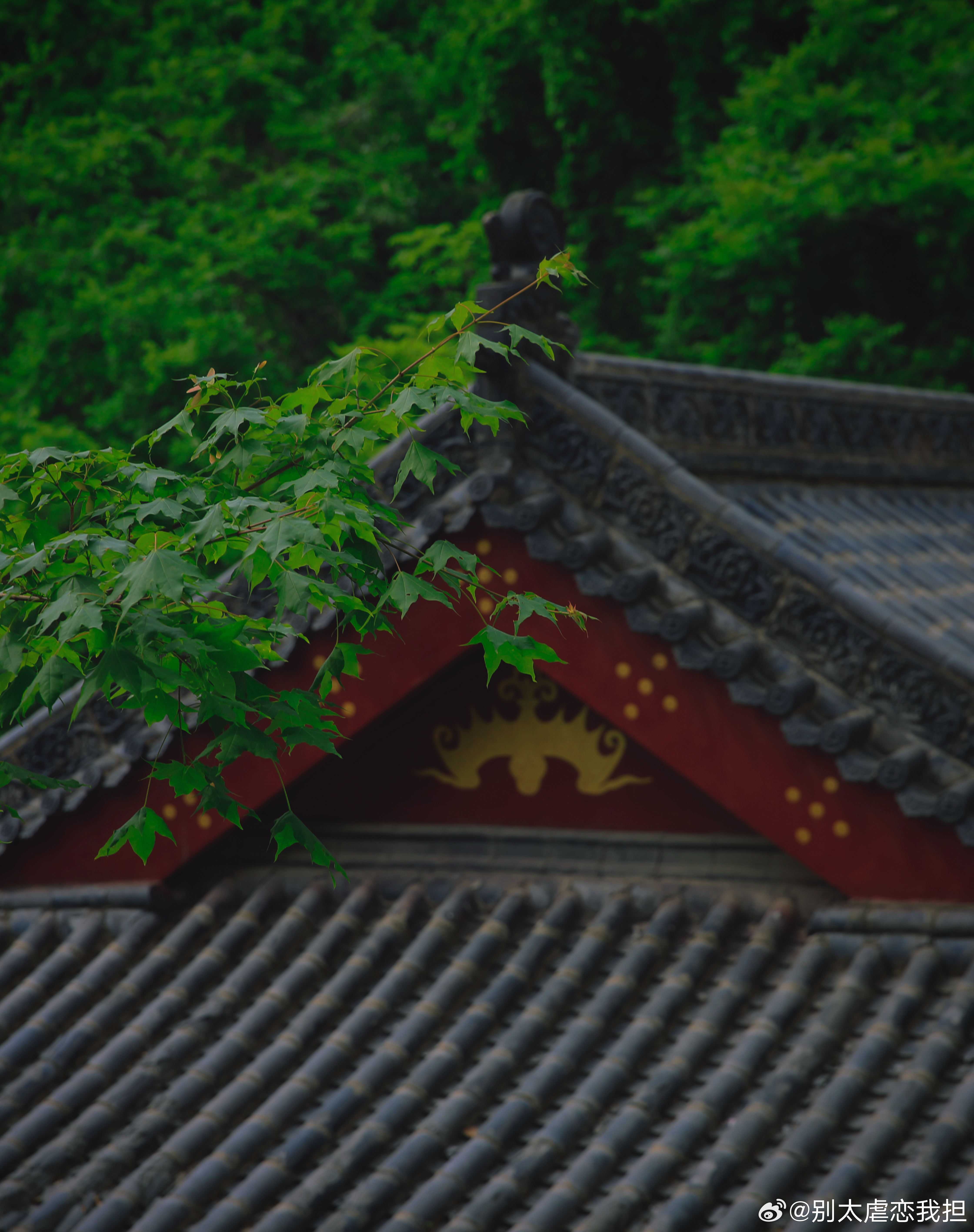 入伏三伏避暑祈福来辽宁铁刹山三伏天出游最怕天气踩雷！东北近期暴雨频发、阴晴不定，