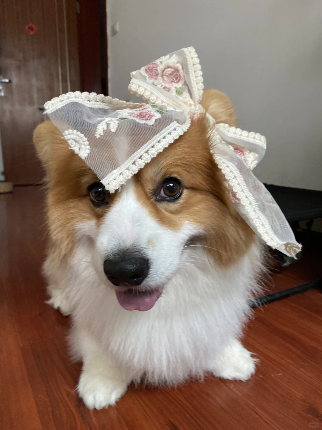 你好 我是小美