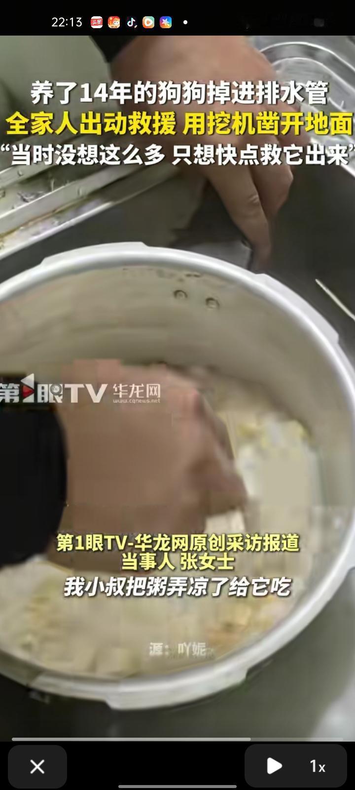 2月23日，梅州市大埔县。网友发视频称，养了14年的狗狗不慎卡在水管内，有养殖场