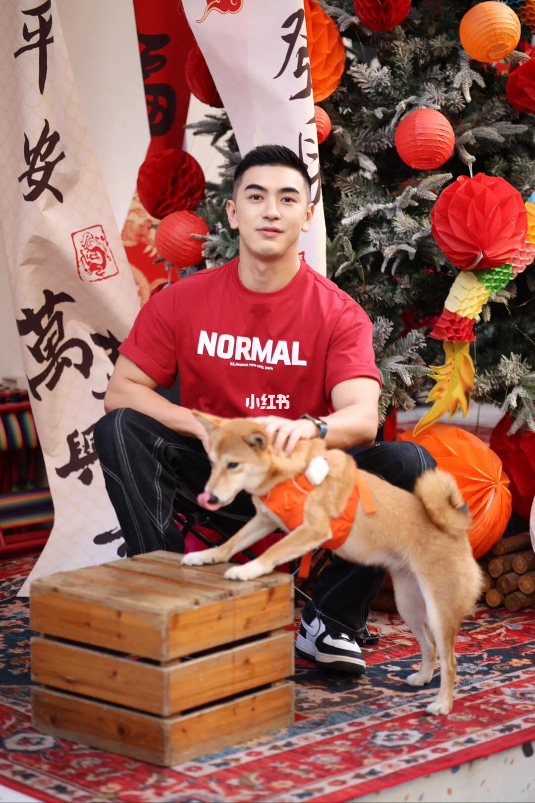 深圳龙年拍照好去处 混搭深圳咖啡探店