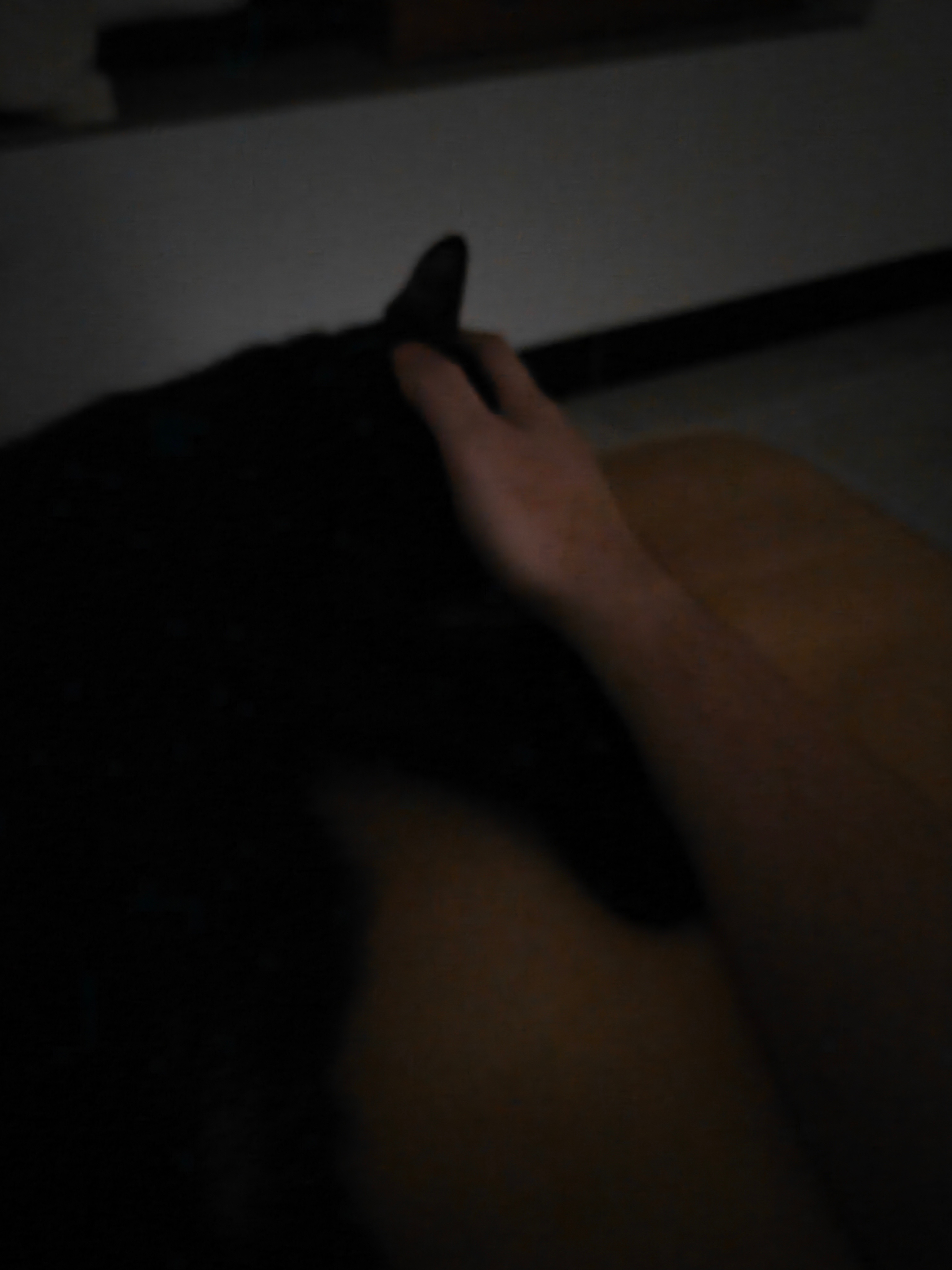 养猫还有助眠作用，现在只要躺床上关了手机后，我的猫一会就跳上床跟着睡了，耳边有呼