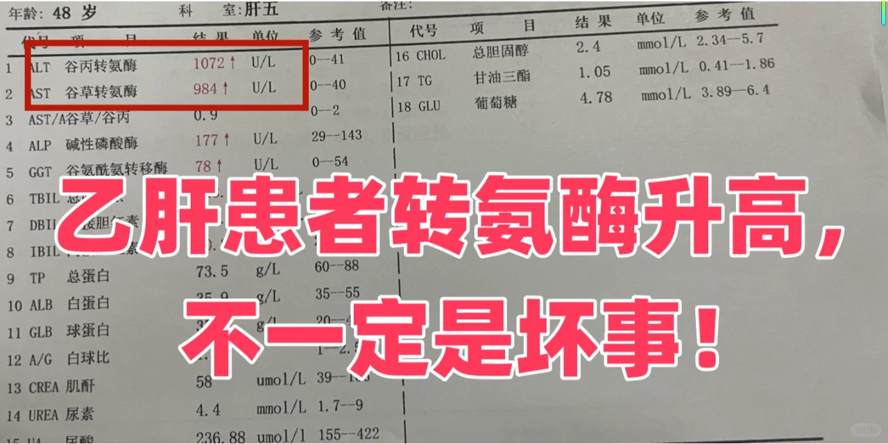 乙肝患者转氨酶升高，不一定是坏事！ 转氨酶作为肝脏细胞内的重要酶类，当...