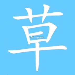 太尼玛扯了，伤病能不能滚出中国排球奥运会你还要不要了