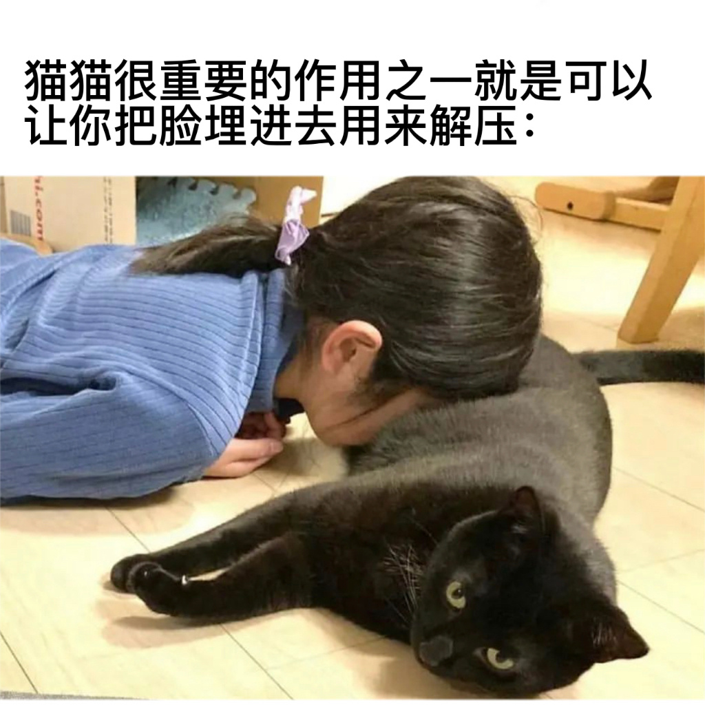 很实用的作用#今日memes# //#龙年造梗大赛# ​​​