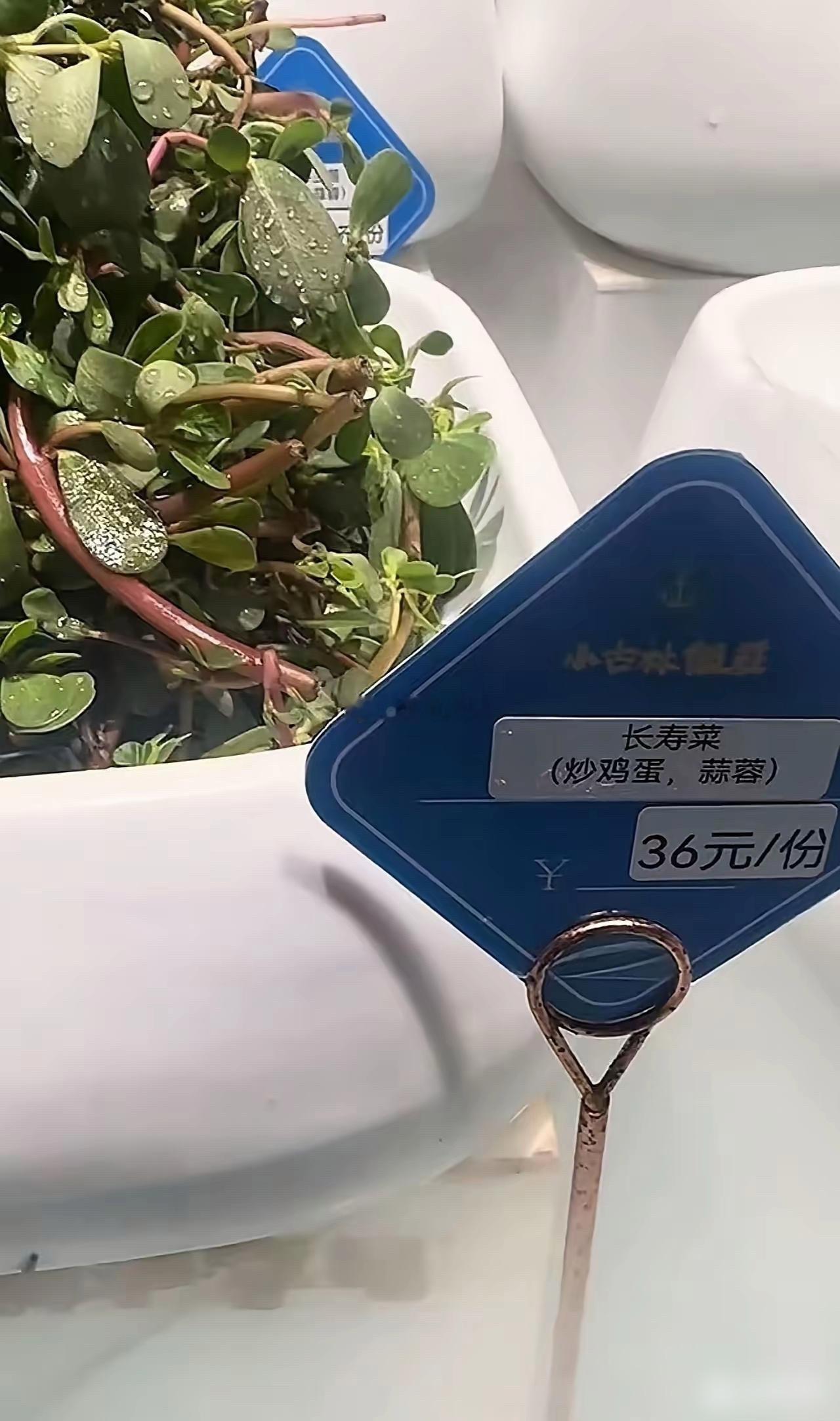 你们那把这个叫什么？你知道吗？ ​​​