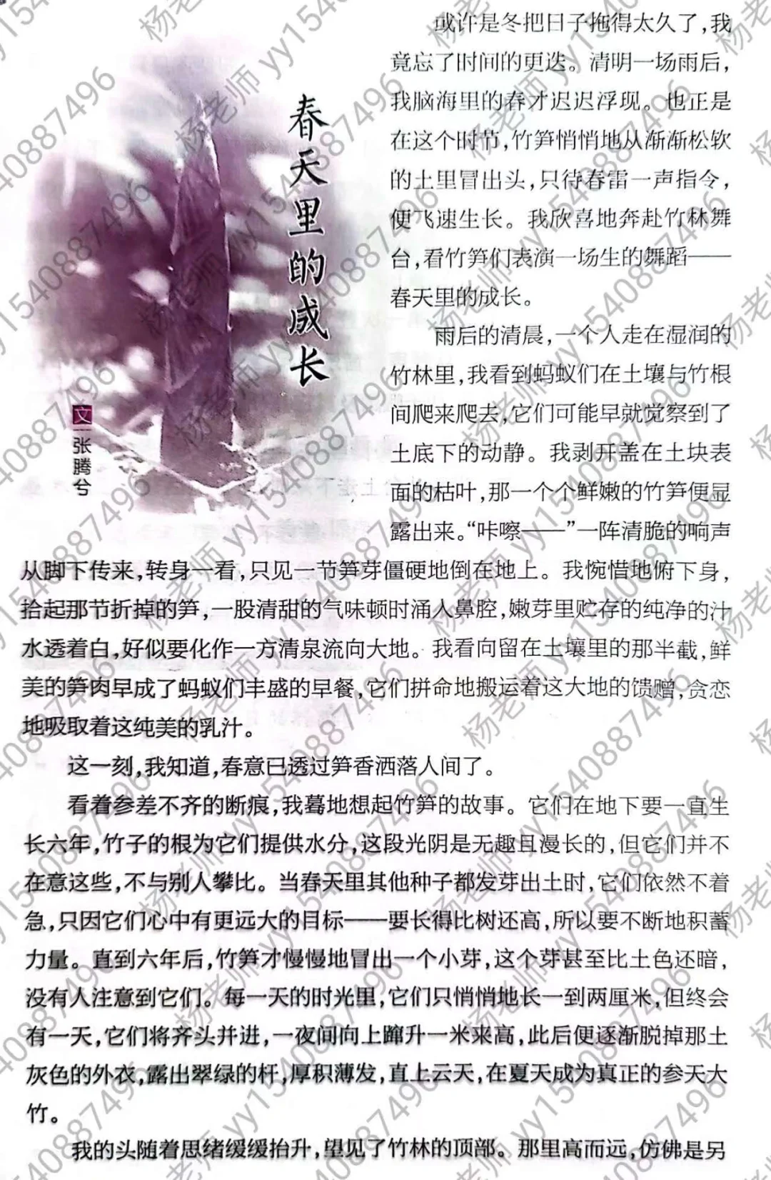 高分作文素材：春天的成长+托物言志