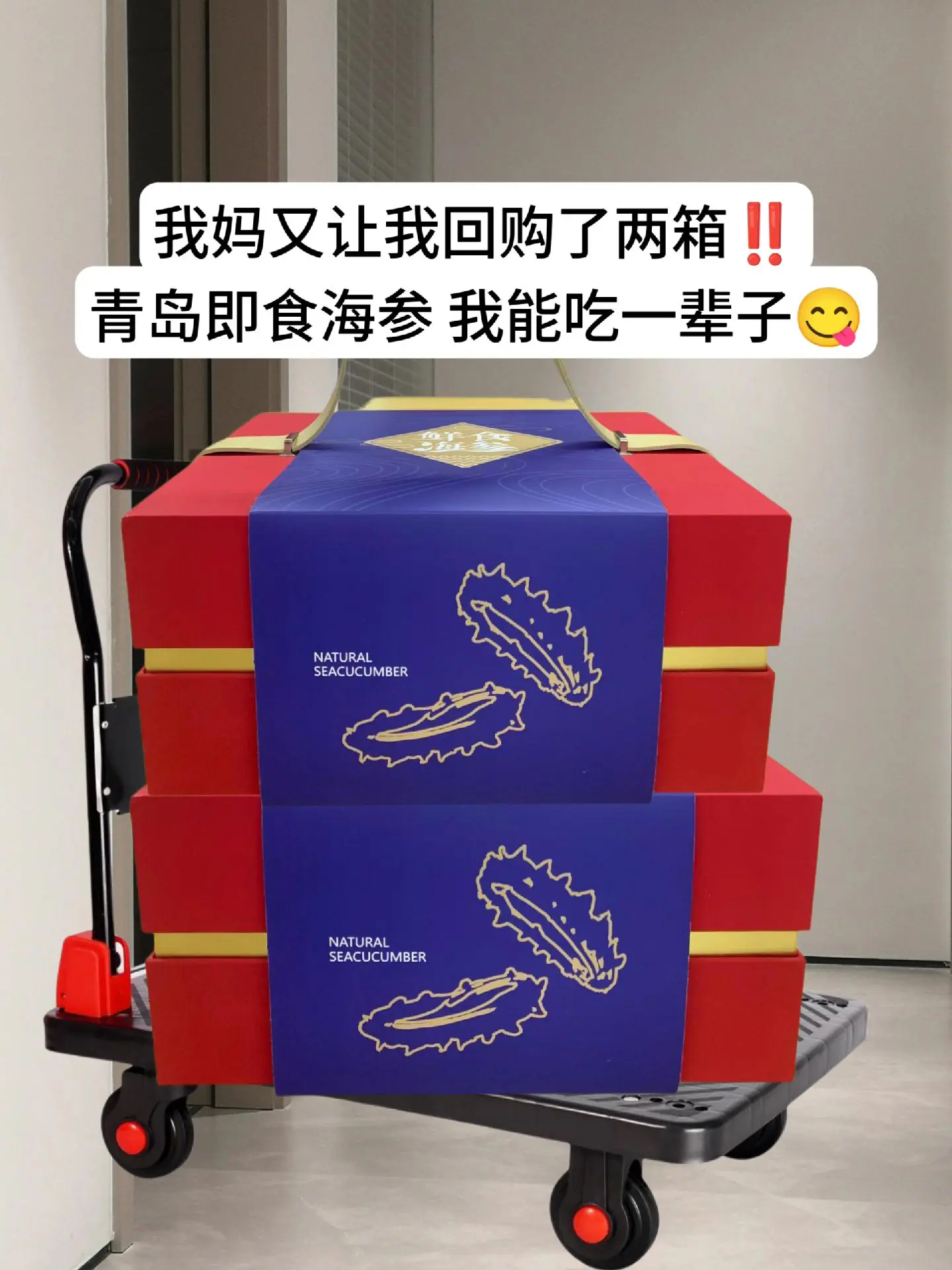 海参 口感特别好 大人小孩都爱吃 送礼佳品 好吃不贵经济实惠