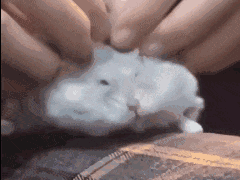 1491遇到朋友出现我无法解决的问题我只能： 