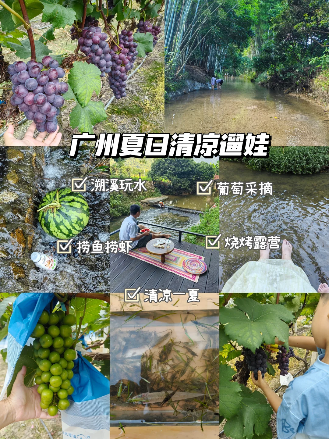 广州夏日遛娃💦溯溪玩水捞鱼虾摘葡萄一站式