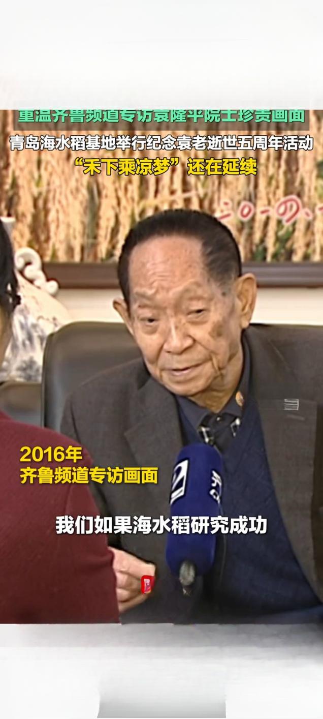 禾下乘凉梦永续 齐鲁频道重温袁隆平院士珍贵影像
 
近日，山东广播电视台齐鲁频道