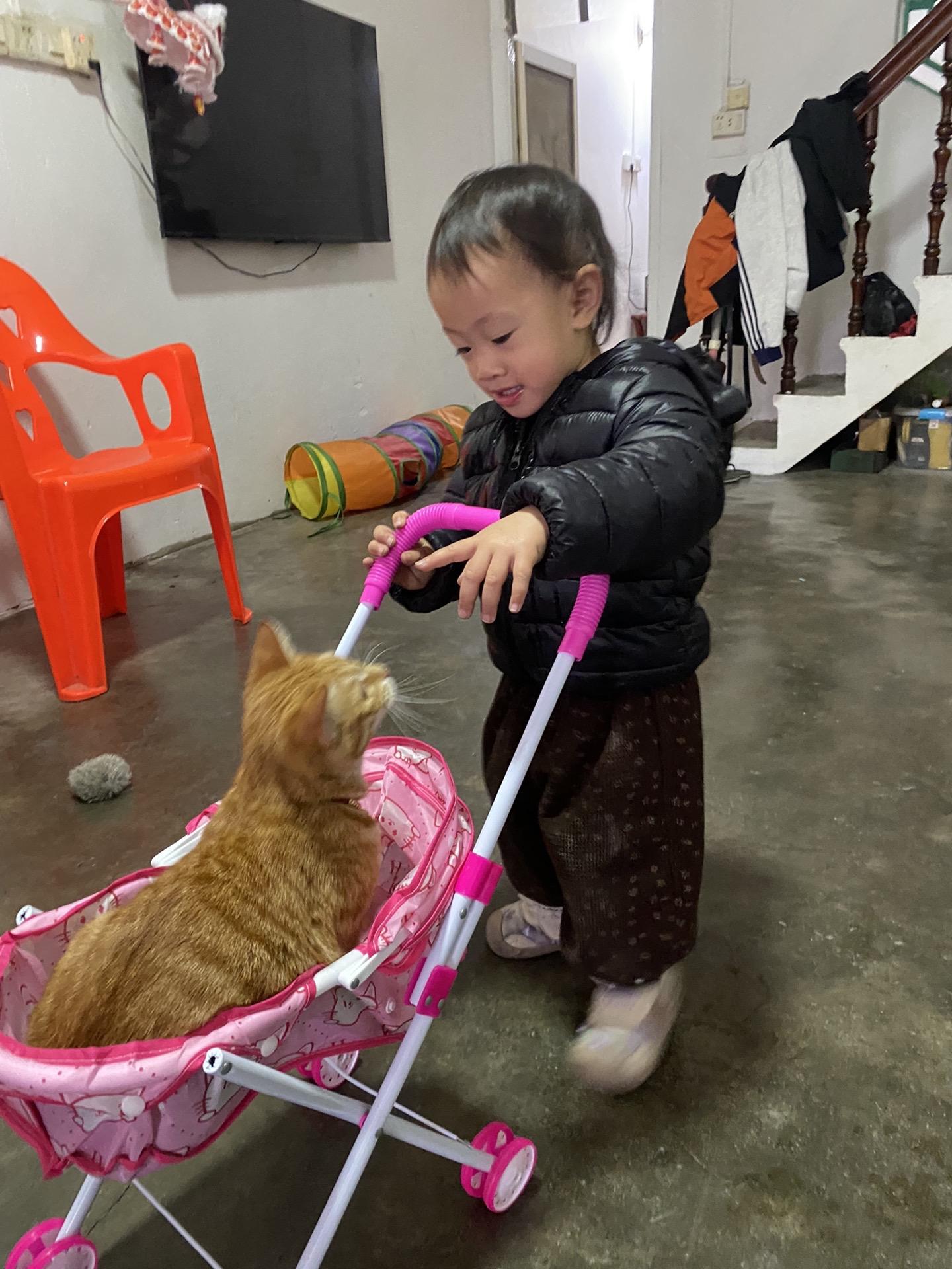🐈咪