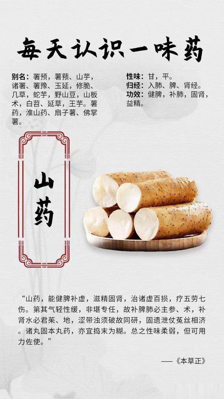 #国医的精诚力量##每天一味中草药##论道岐黄# ☘️【每天认识一味药】🌹山药