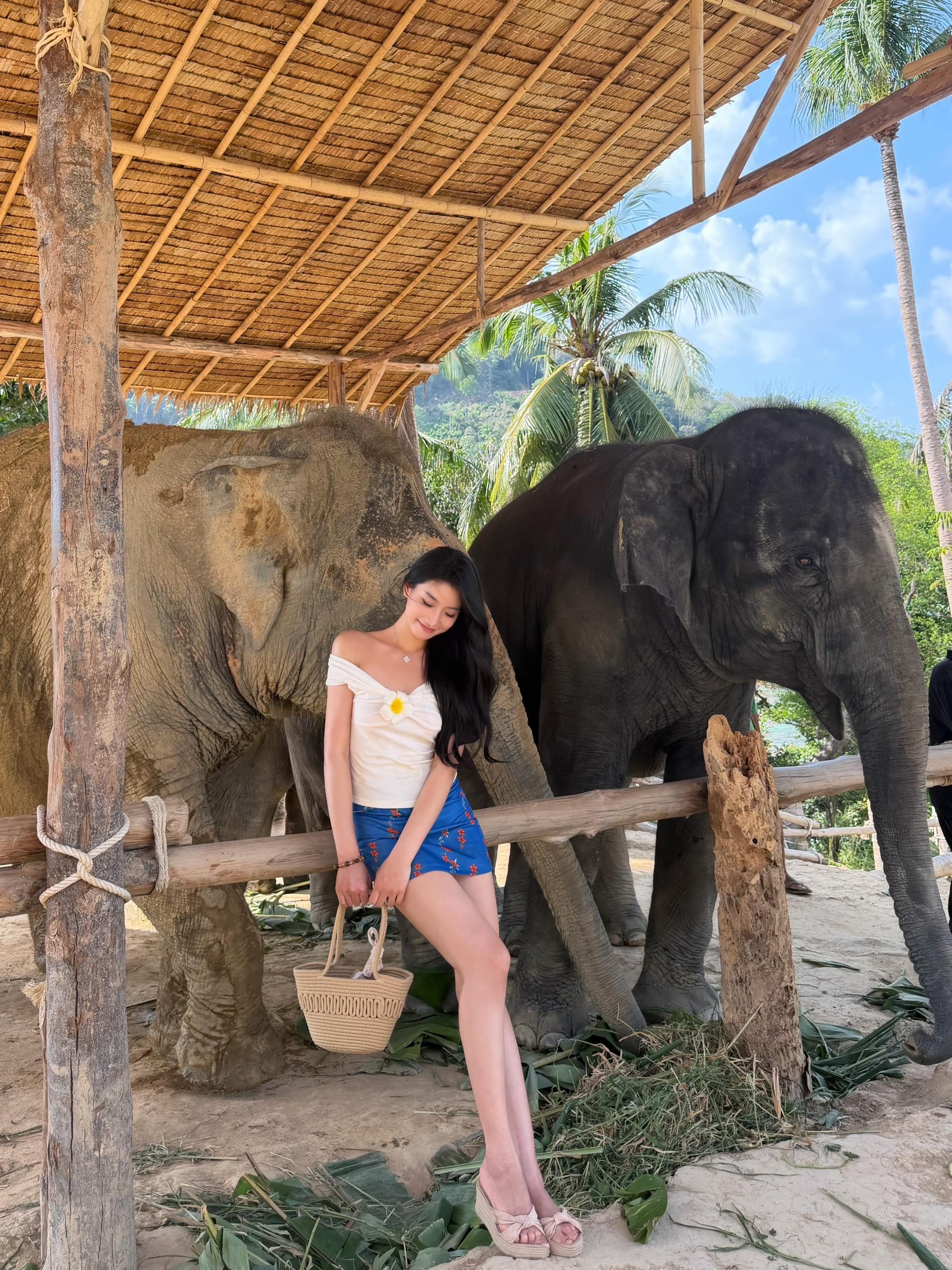 🐘🥒Elephant Hug～