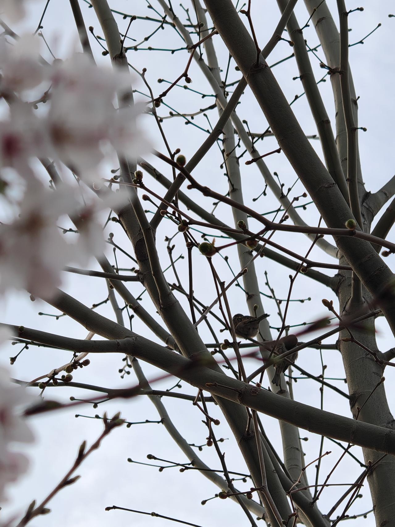 人到中年，最重要的是在健康、关系、自我上给自己留足位置。
健康是根本，很多中年人
