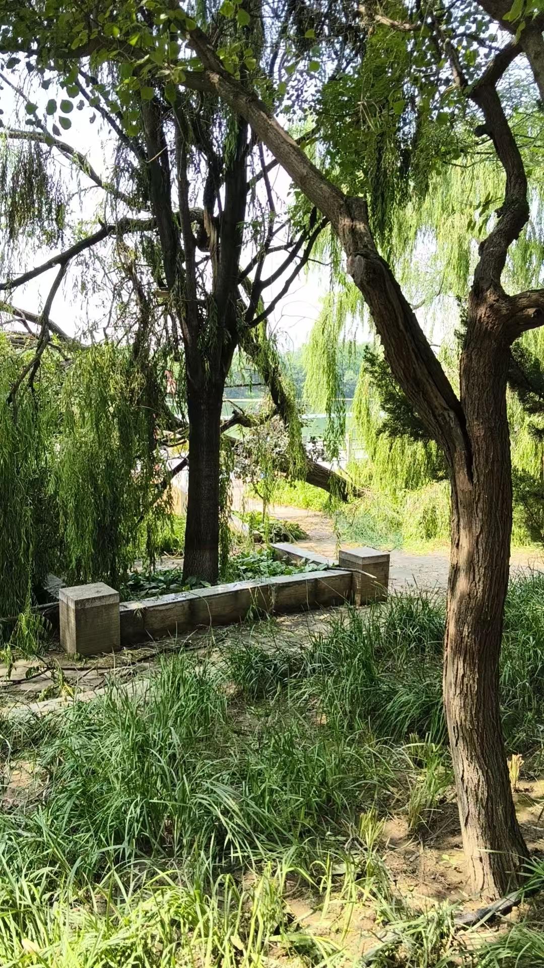 今天一天天有点闷热，天气预报说今年极端天气会多，这和厄尔尼诺现象有关。多国科学家