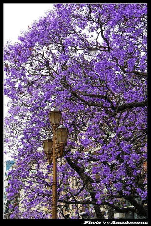 周日市场骤然涌现多条重磅消息，还有行业重要会议前瞻！
周日大消息如下：
一、据媒