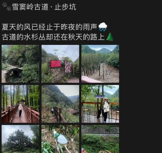 ⛰️第8座山- 绍兴雪窦岭·止步坑5.2km
绍兴的“水上红杉林” 发现了一条超