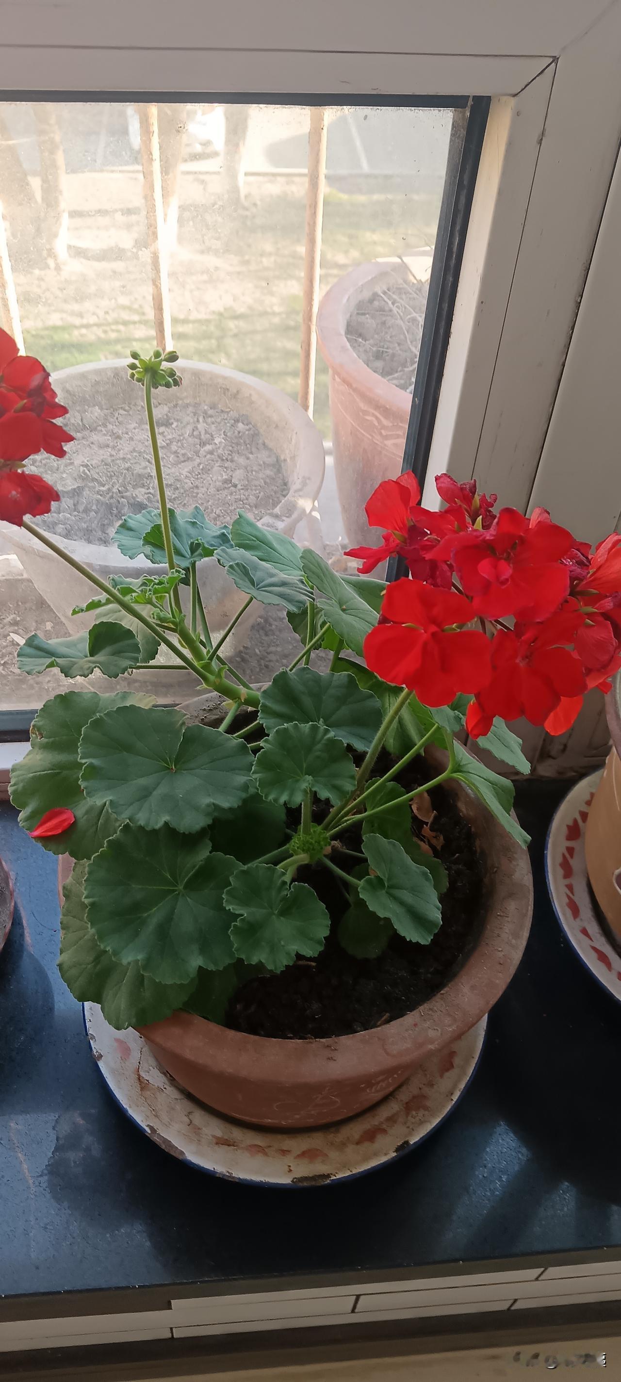 我发现生活中，有很多反常的现象！
例如：当生活中有高兴的事情，你和朋友分享了，而