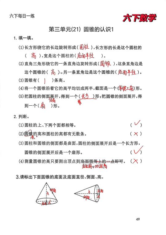 六下数学每日一练49-50，🔥圆锥的认识