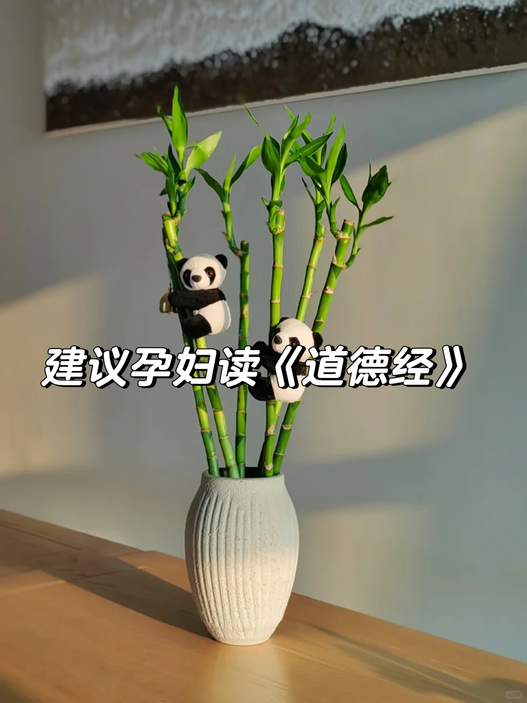 丁师：为什么建议孕妇读《道德经》