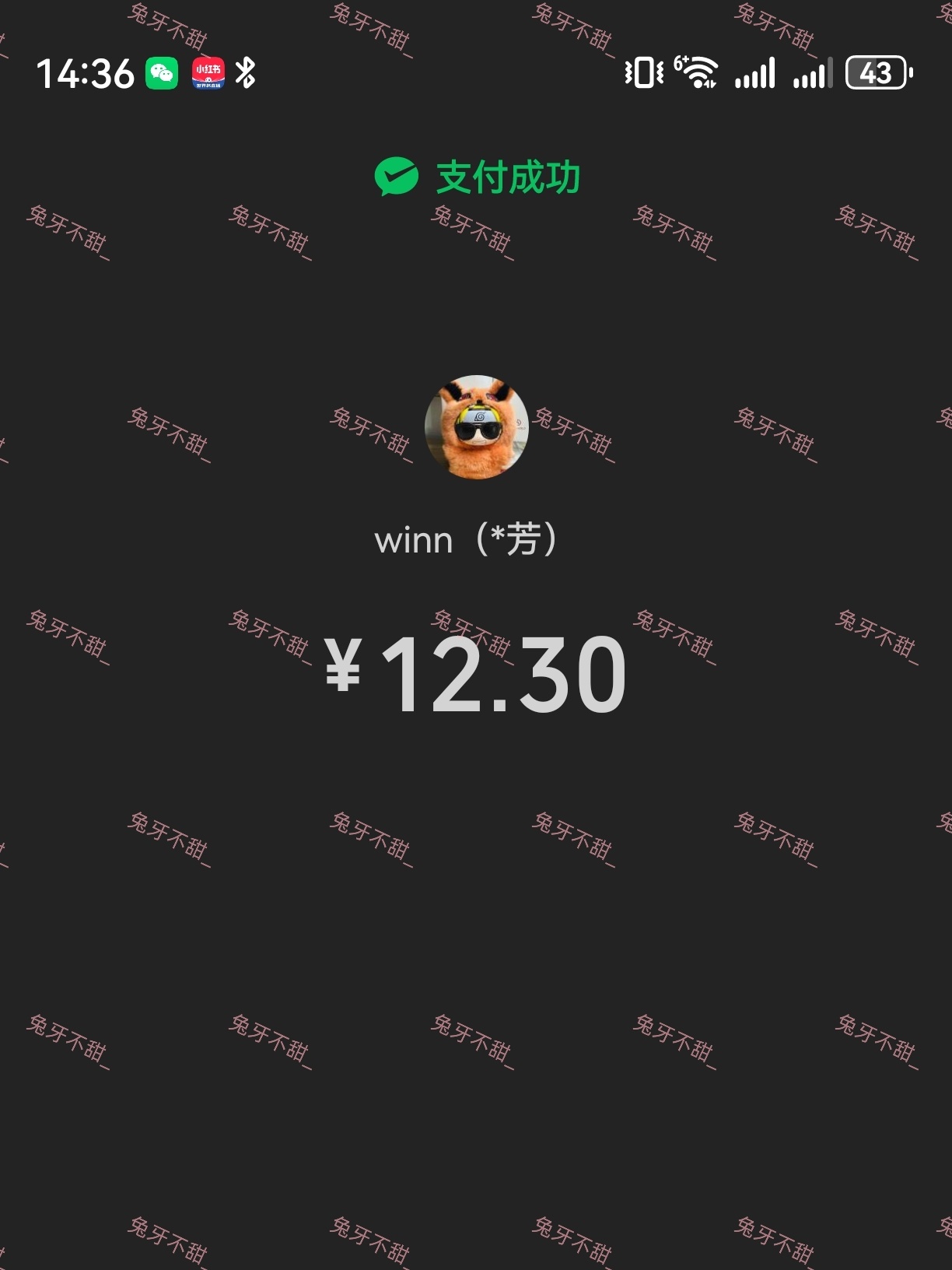 SDA插旗 