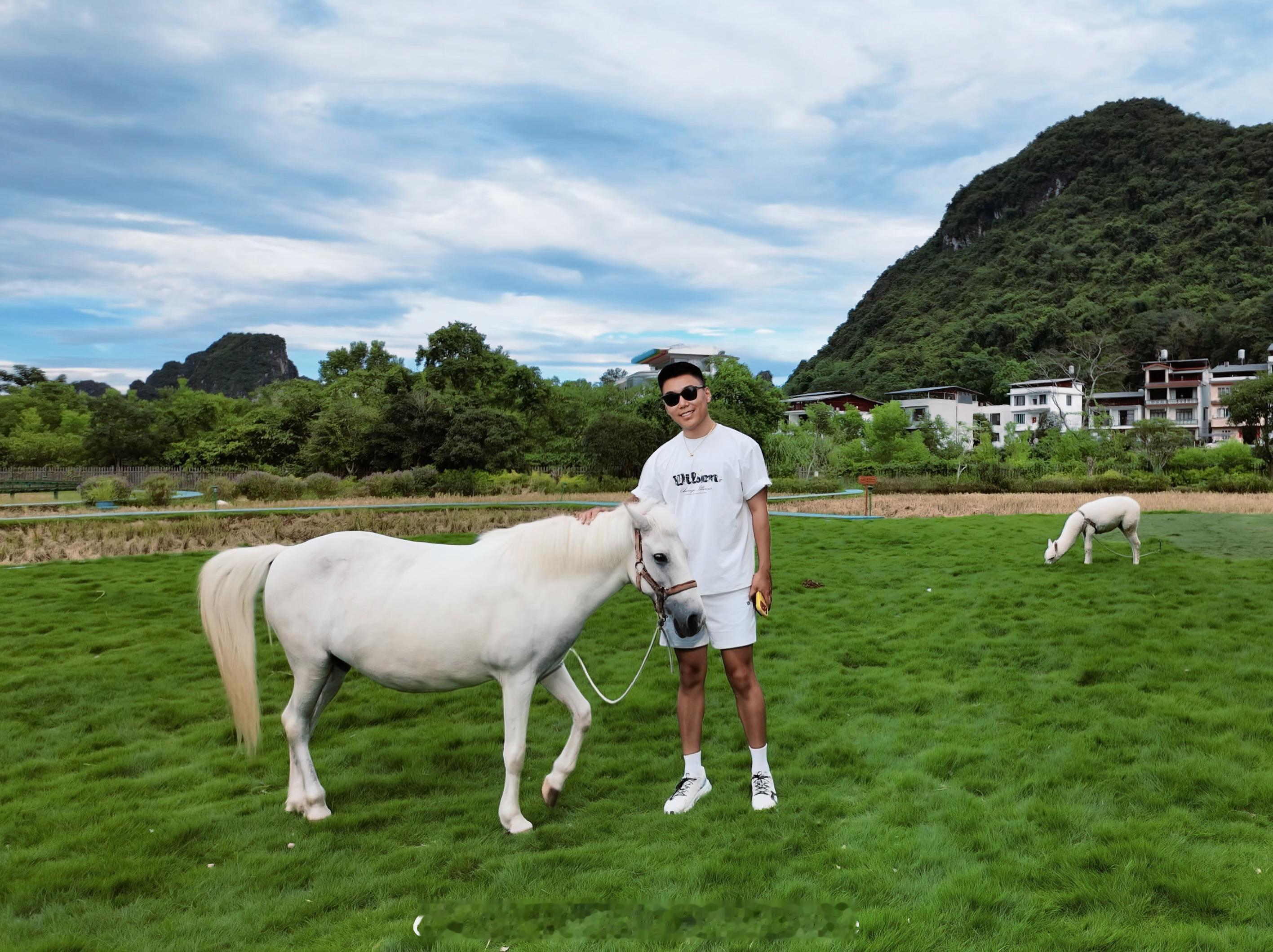 🐴 