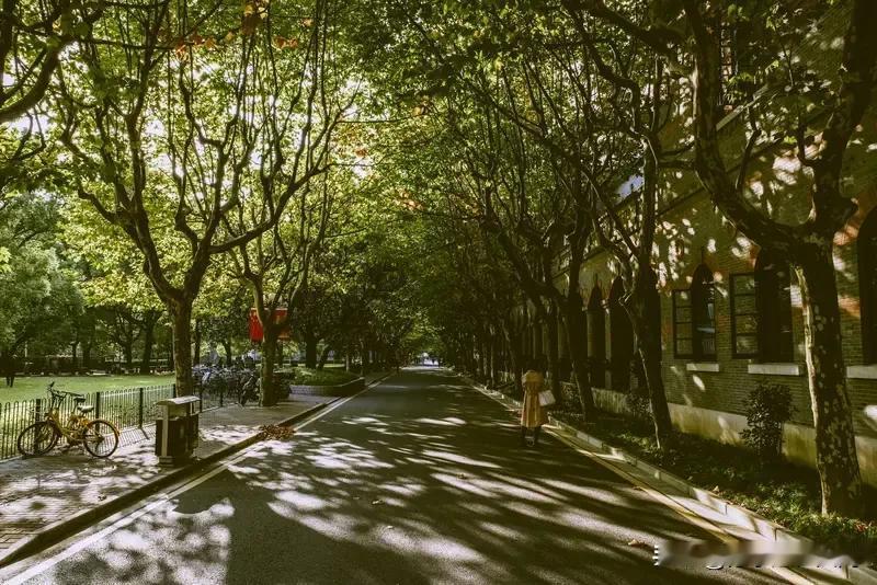 上海交大这波操作真是引发轩然大波！10月22日发布的2026年校本部博士研究生招