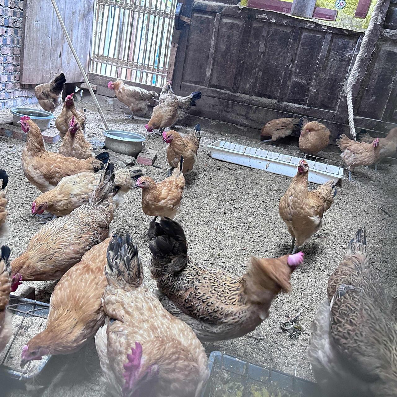 我家一年物业费 3960，我一次没交，物业的律师函来了 3 封。
我们小区物业费