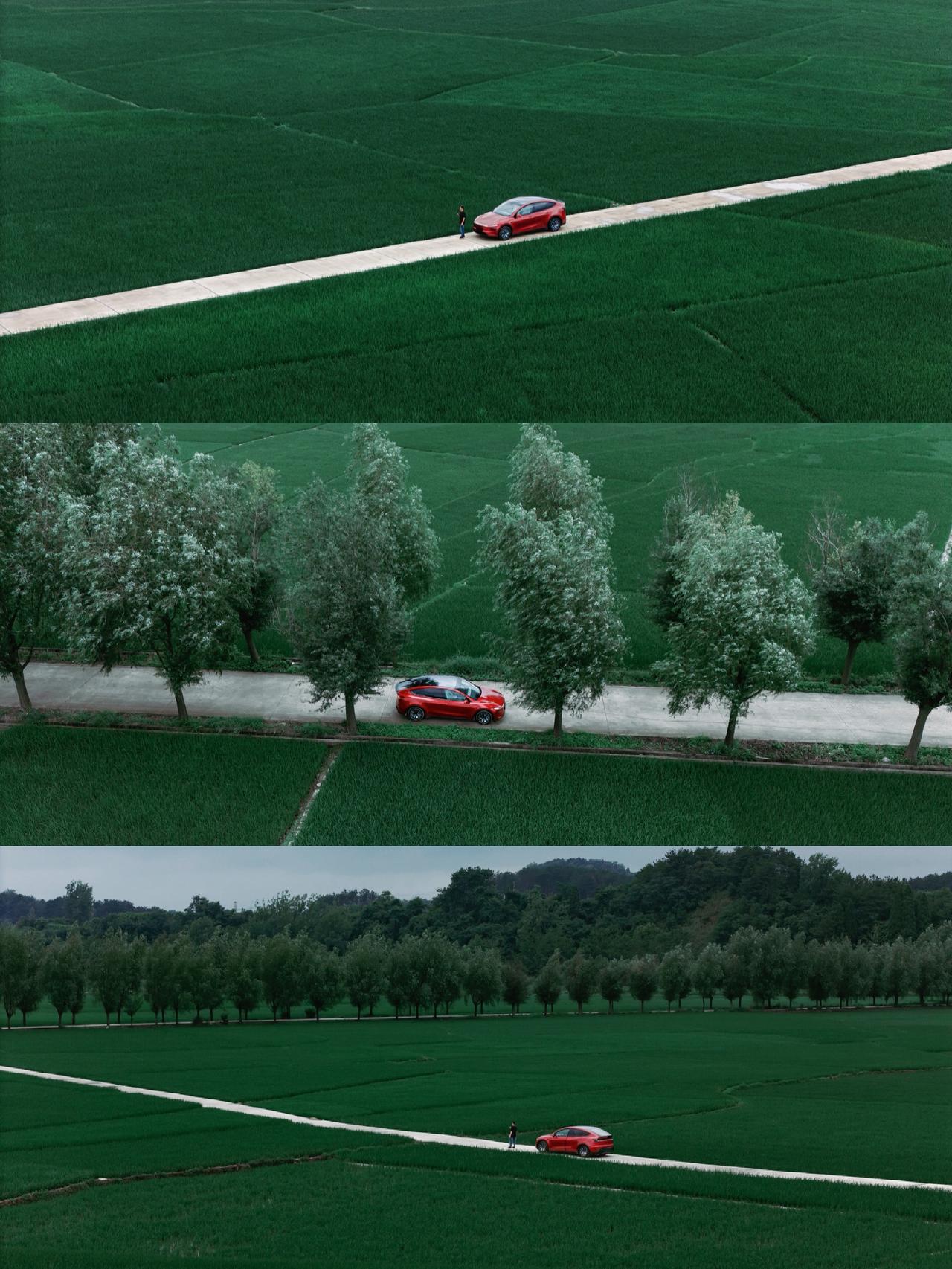 車行摄 汽车摄影 电影感 稻田 特斯拉modelyl