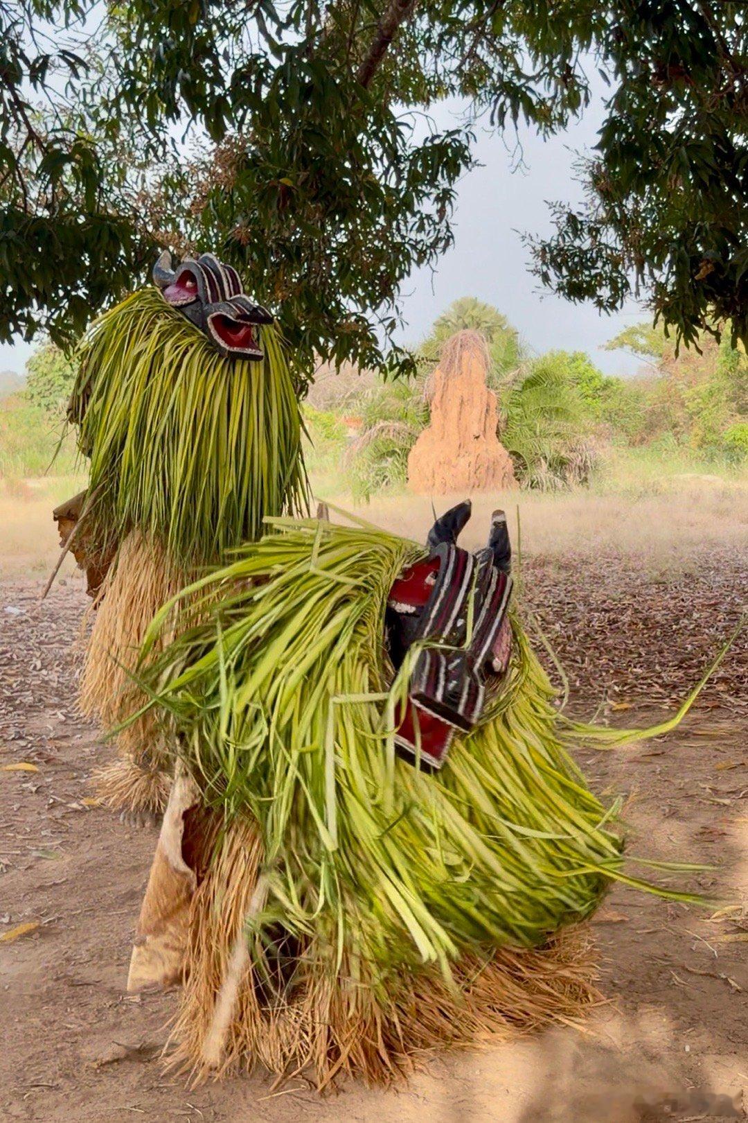 西非戈利舞。今天来到科特迪瓦中部的孔德亚克罗村（Konde Yaokro），这里