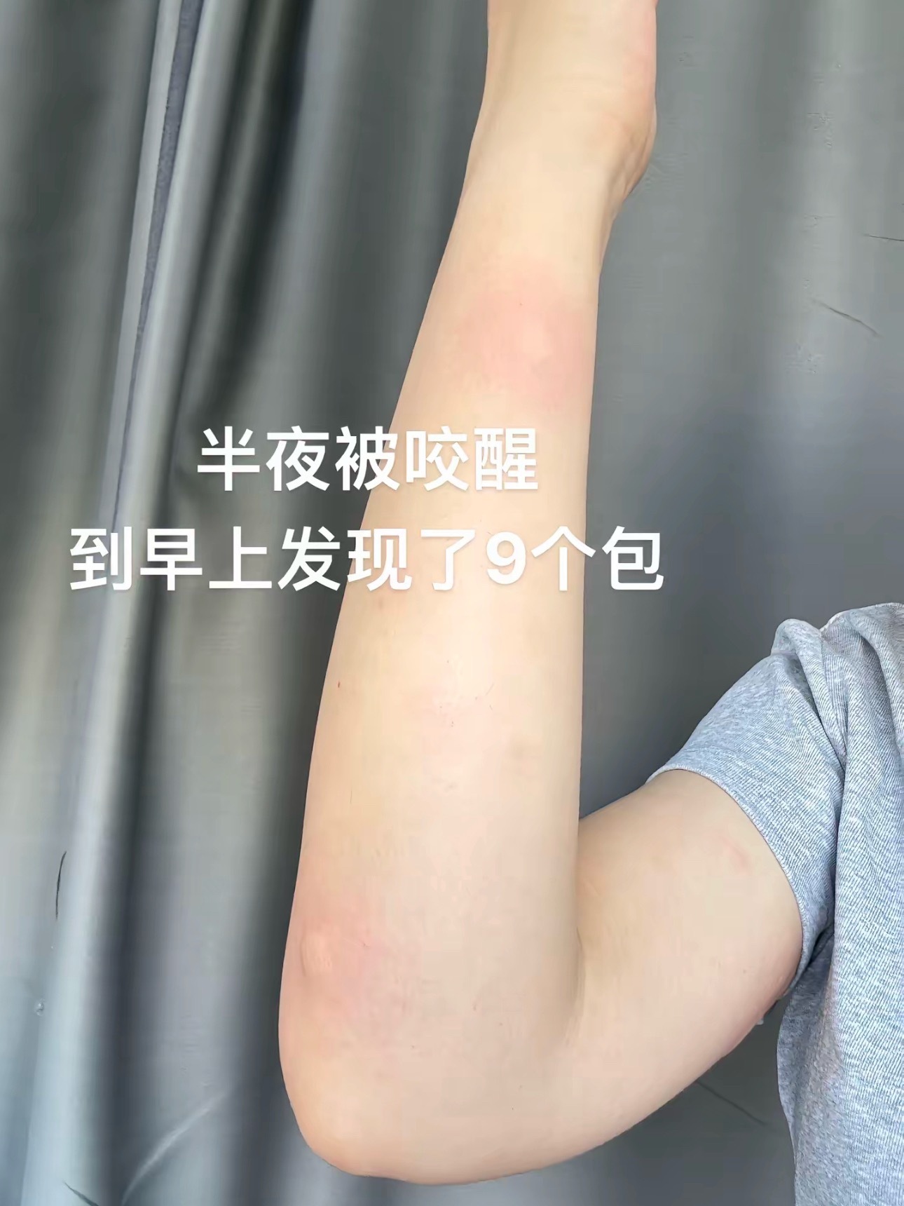 第一次吃自助餐没经验的蚊子蚊子：命运戏弄大馋猪啊……春日放个疯 ​​​