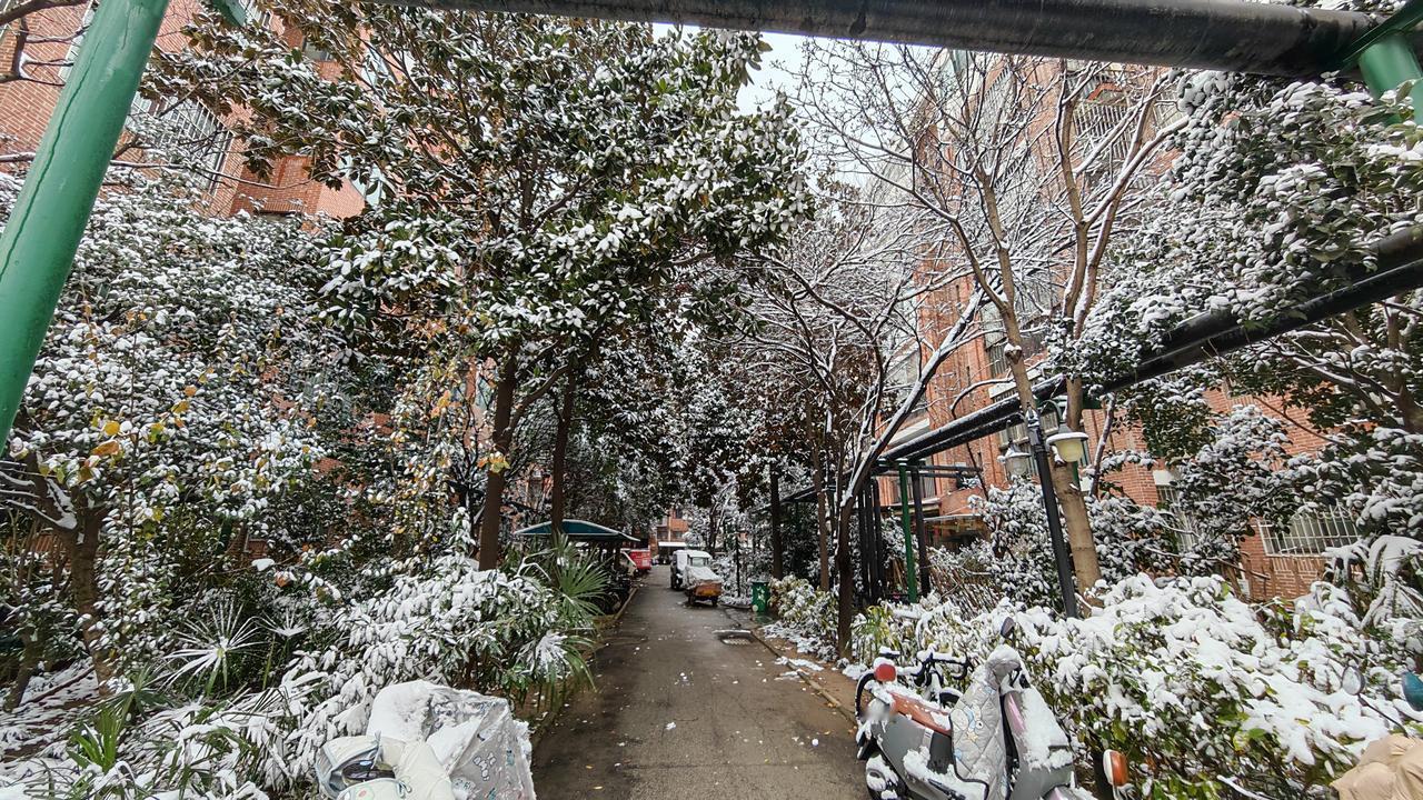 清晨推开窗，最先撞入眼帘的，是漫天漫地的白。
 
下楼走进小区的巷弄，才发现雪已