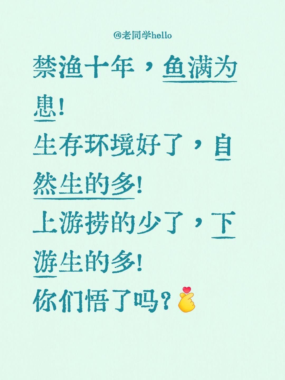 鱼满为患……禁渔十年，鱼满为患！
生存环境好了，自然生的多！
上游捞的少了，下游