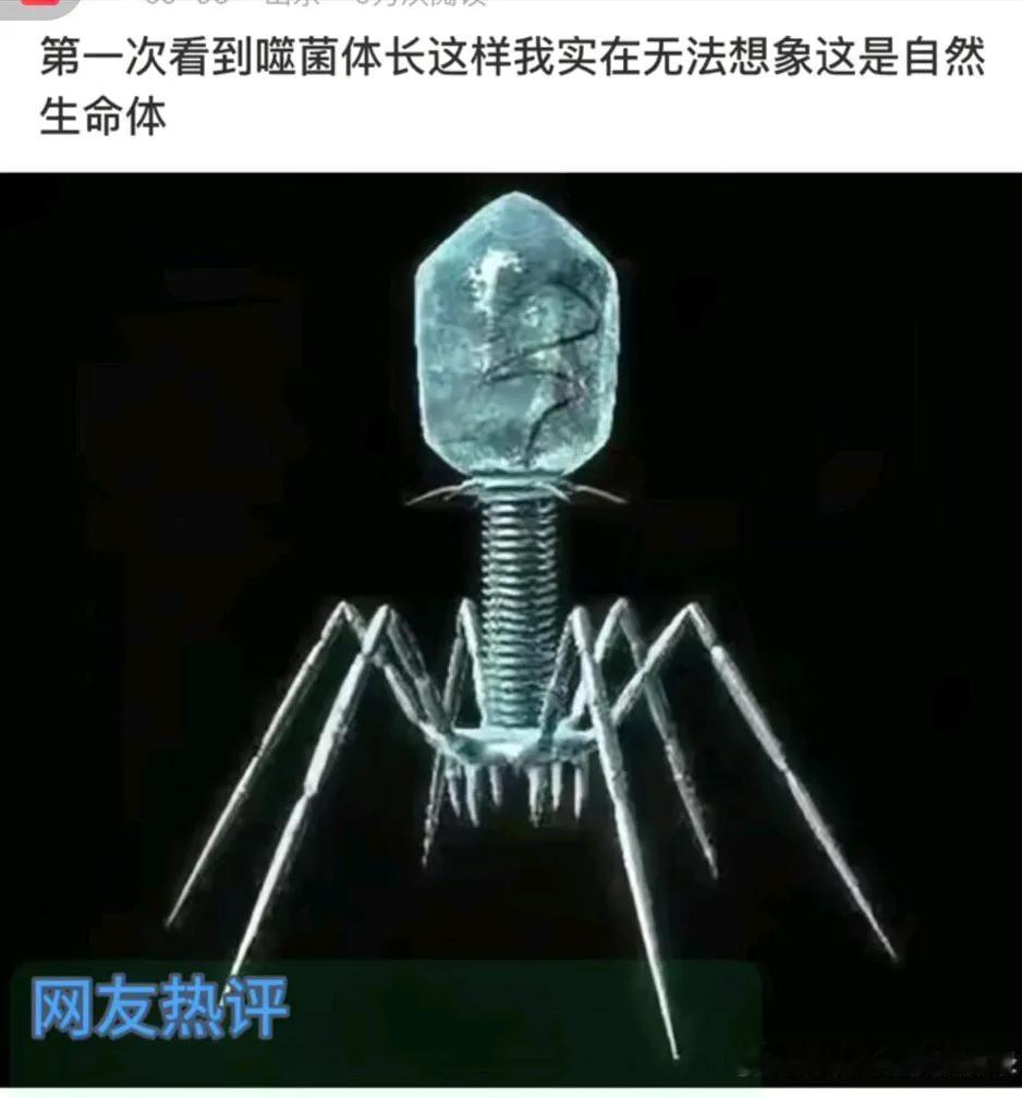 一想到我体内有无数如此神物！[大笑]我愈发觉得自己绝非凡品，我的降生一定有某种重