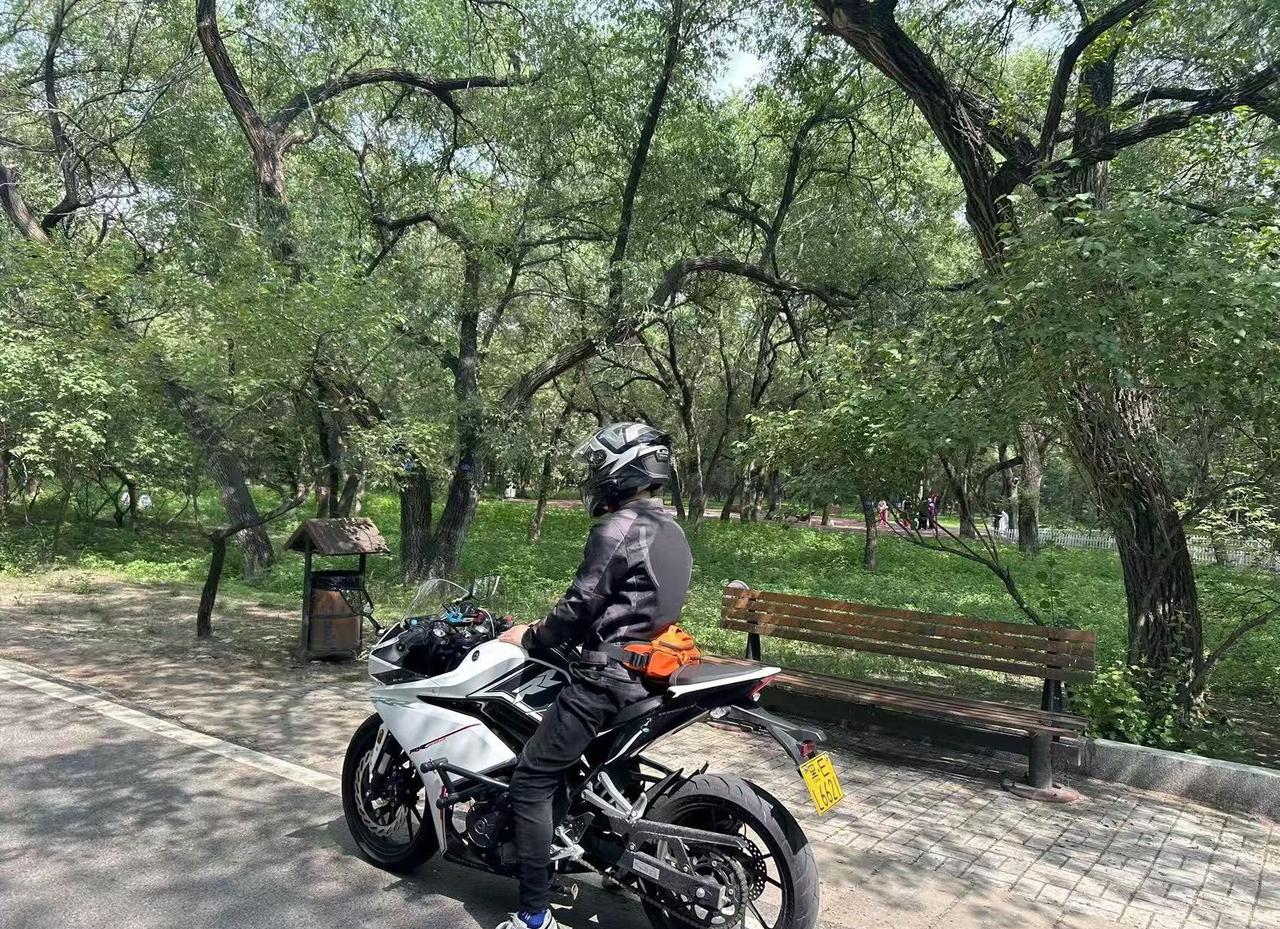 感情难以释怀。下楼买水，当我看到了你的背影，这一刻我的脑子嗡的一下愣住了，我知道