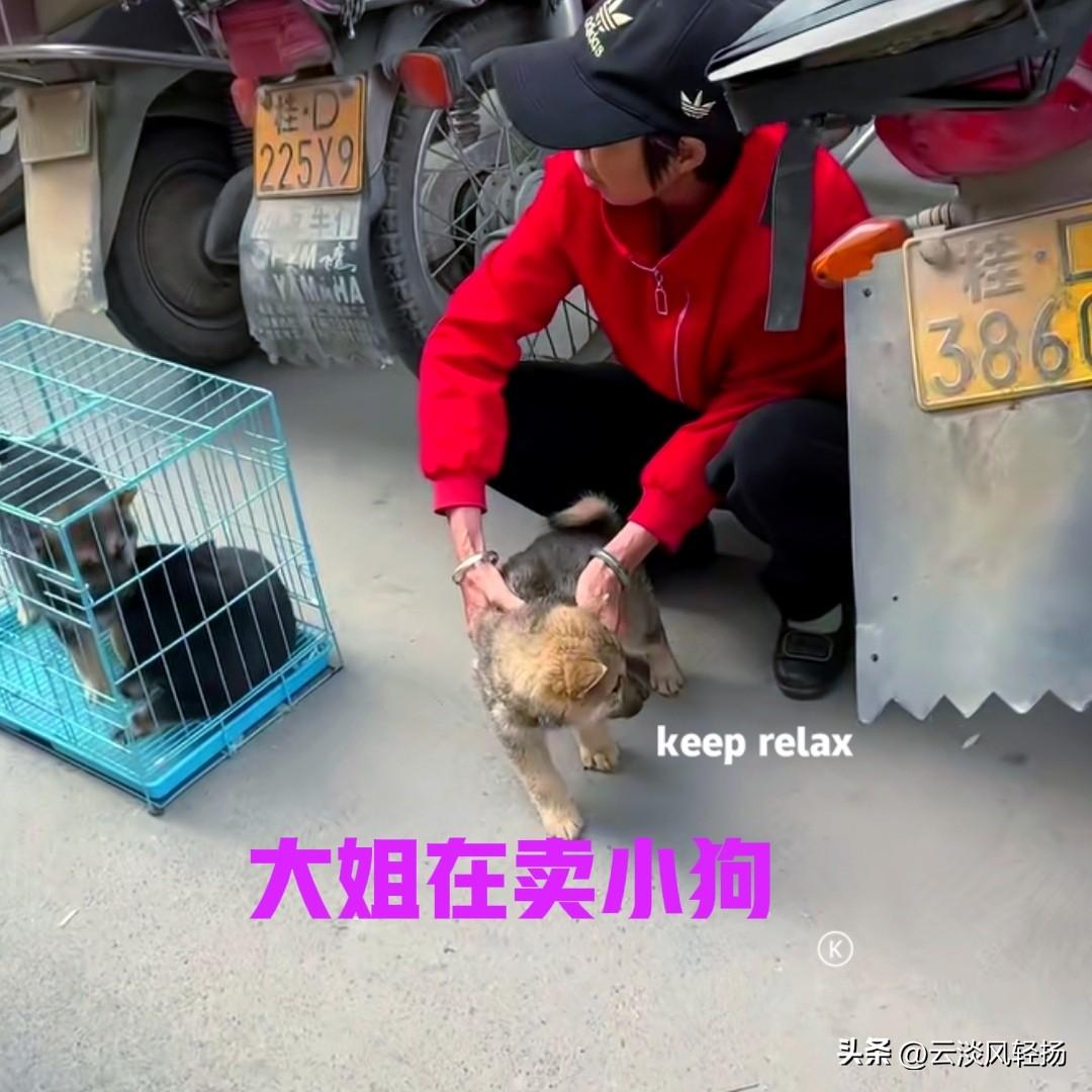 广西乡下的小镇上，一位穿红衣服的大姐蹲在地上，旁边放着一个铁笼，铁笼里有两只小狗