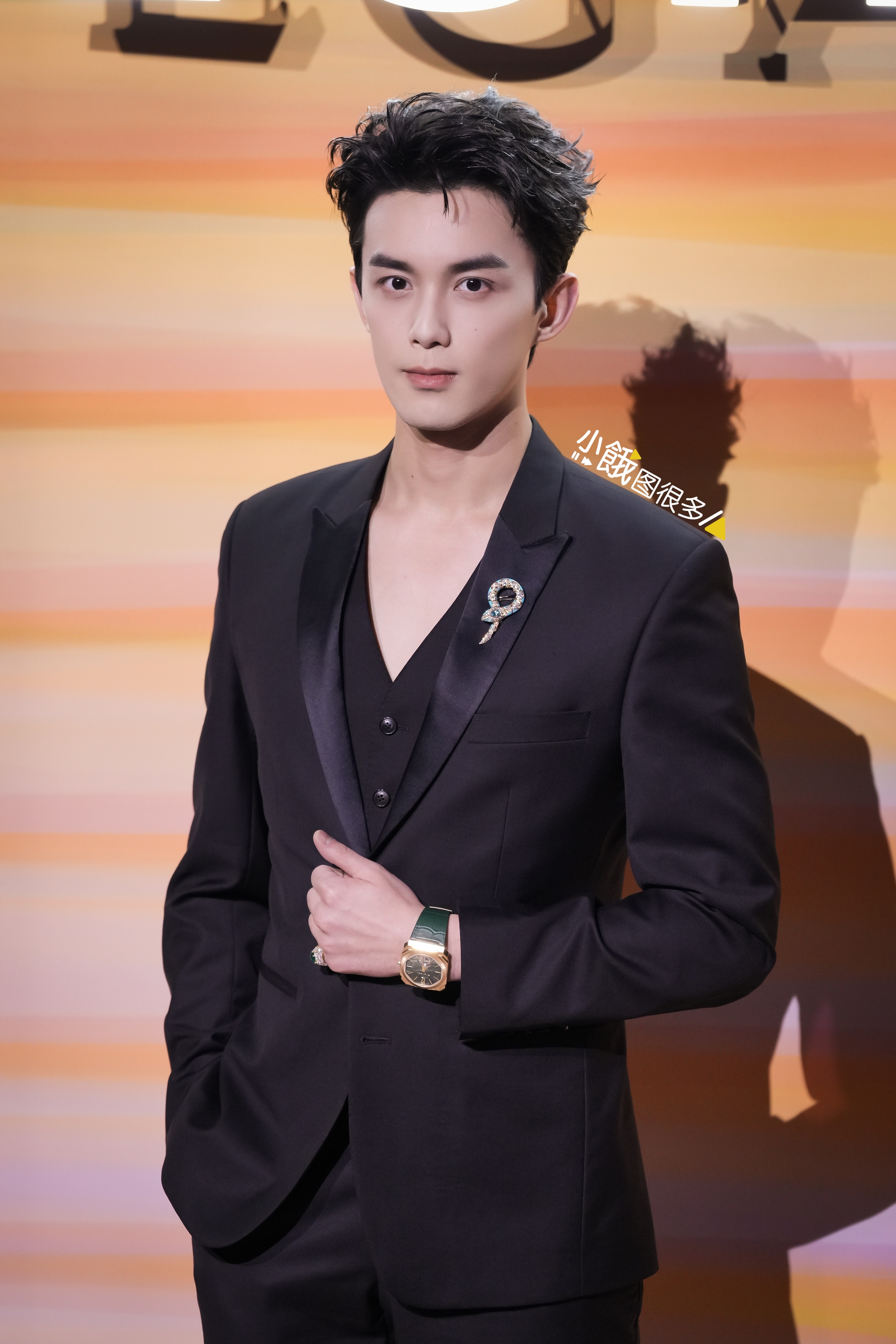 吴磊一条尊贵黑斗鱼 20251031 宝格丽晚宴抓拍到一张巨帅的吴磊，好尊贵。今