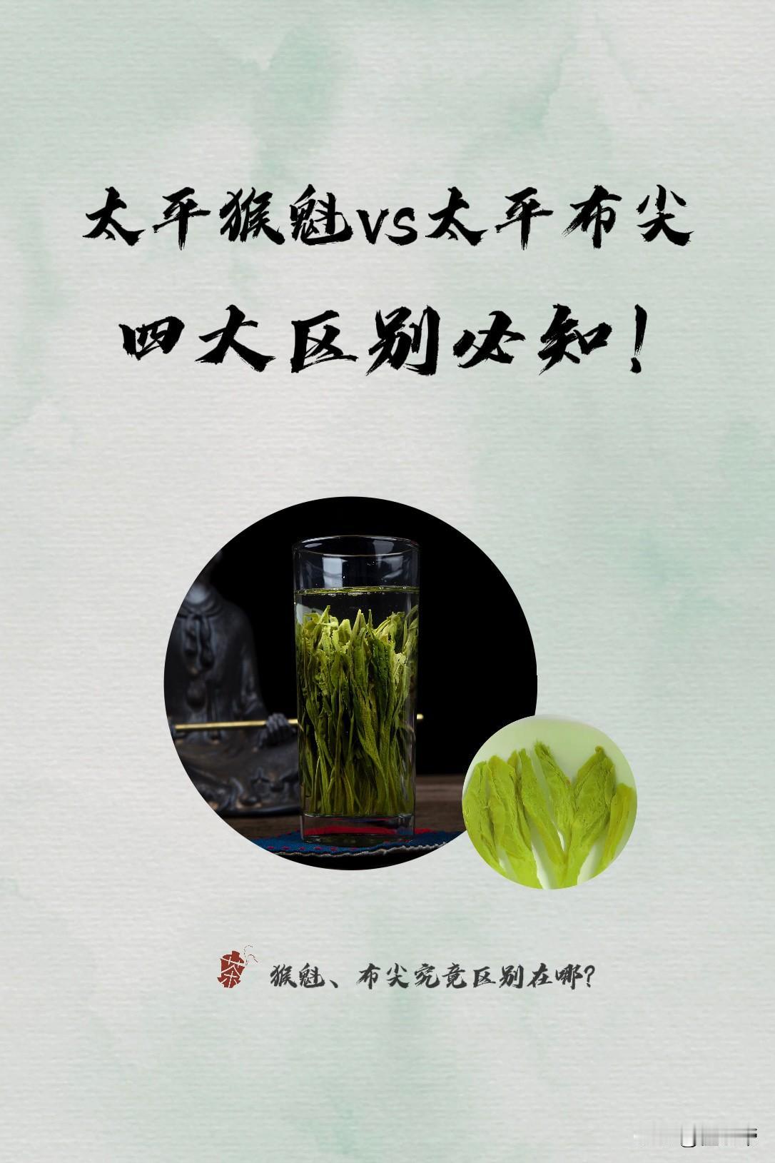 太平猴魁vs太平毛尖到底有啥区别？