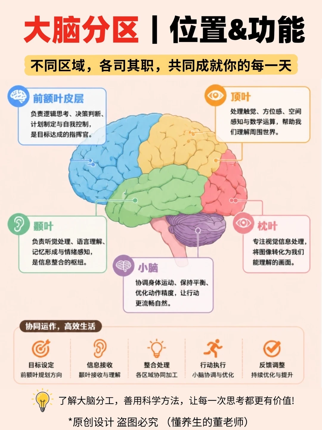 大脑变笨、专注力差？原来是前额叶累垮了