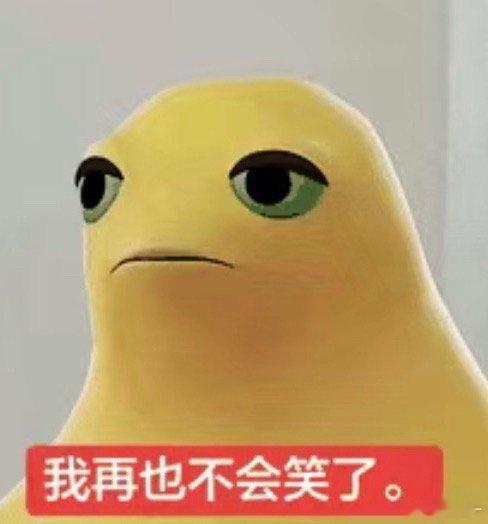 欺负一只猪？你们很牛吗…把猪的ins还回来 