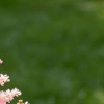 每日一善每日一善‎阳光‎信用 🌞极好784，均🉑蹭🉑转与优质用户保持良好的
