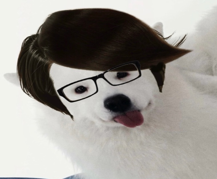 毛阿豆 ​​​