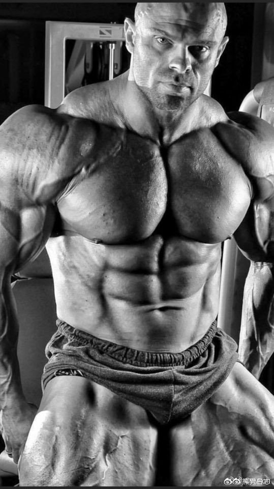 【MUSCLE】() 