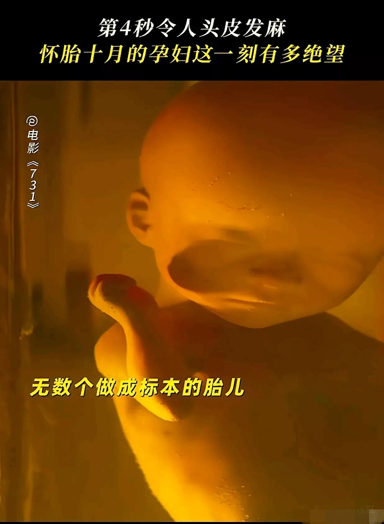 警告！千万别带女朋友去看《731》看完我悔到拍大腿！
 
听我一句劝看完《731