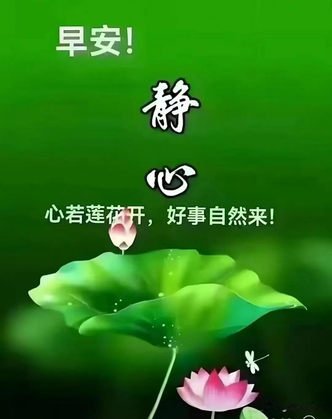 清晨有风，生活有甜，祝你今日万事顺心。