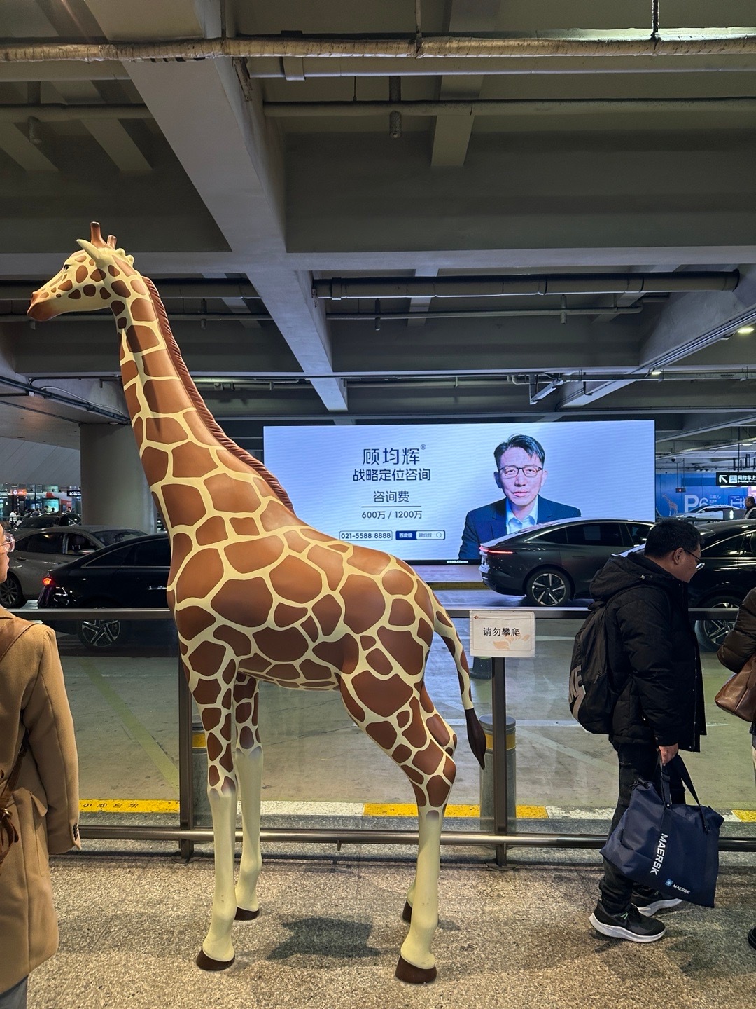 怕你们找不到长颈鹿层，直接放了个长颈鹿，话说威马汽车复产进度怎么样了？ 上海·虹