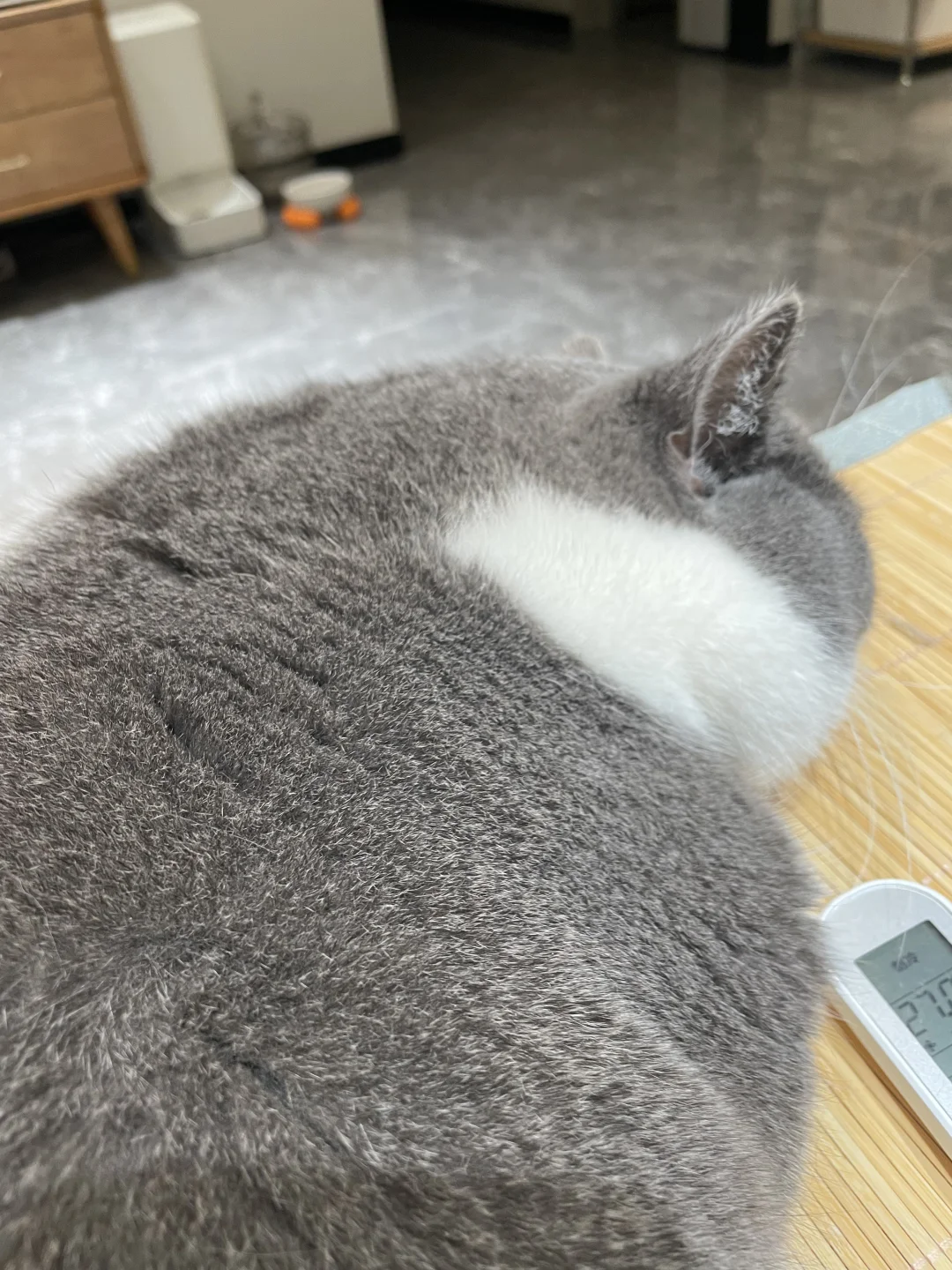扁扁地